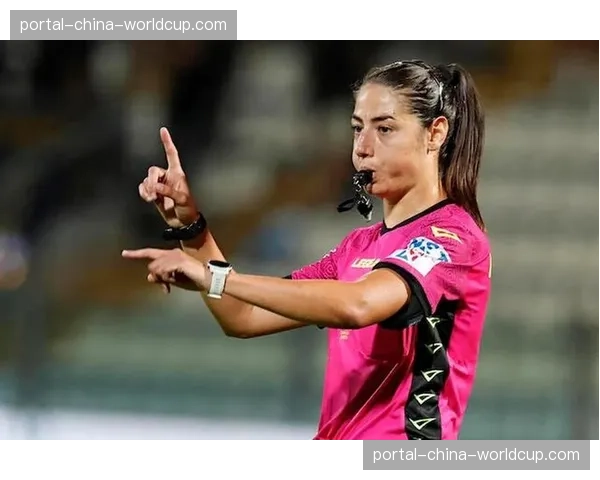 意甲股东大会通过决议，下赛季将试行“裁判赛后媒体解释”新规